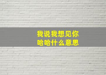 我说我想见你 哈哈什么意思